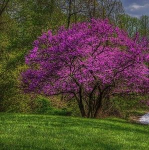 Meet your Posher, Akberet